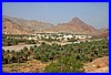 Oase in Oman_01.jpg