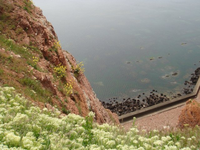 _helgoland.jpg