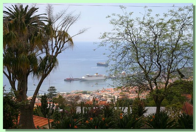 Blick auf Funchal.jpg